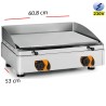 Plancha Electrica Profesional acero 608x530-15mm espesor
