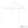 Carpas plegables para eventos 2 x 2