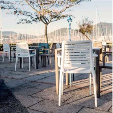 Silla de terraza Park apilable en polipropileno
