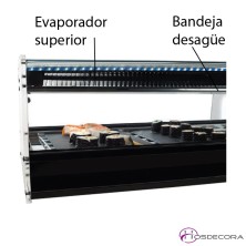 Vitrina de Sushi SHS-120i