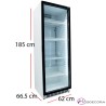 Nevera expositora Puerta Cristal 400 L - 300 W