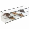 Vitrina DOBLE cristal recto 1000x270x206