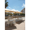 Terraza Parasol cuadrado terraza