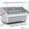 Vitrina de Pescados expositoras. CEEC-100-RR-EF