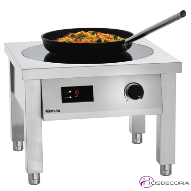 Inducción con soporte 5kw 95-105817