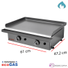 Plancha a Gas Acero Laminado 6.4 kW -6 mm 39-EG60