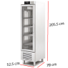 Armario Frío Puerta Cristal Docriluc 52.5x78 - 409 L 14-CASRV-55
