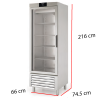 Congelador Puerta Cristal 505 L 606W  14-CASNV-75