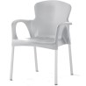 Sillón de jardin terraza Polipropileno y aluminio ISGRACE