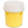 Atrapador de insectos 485802 con parches atrayentes