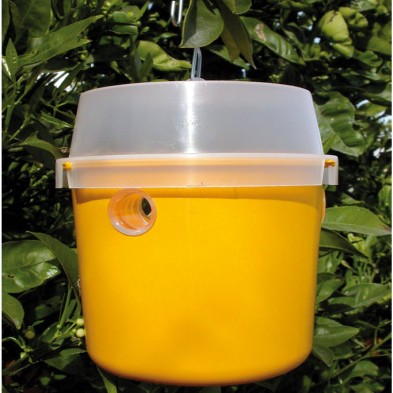 Atrapador de insectos 485802 con parches atrayentes