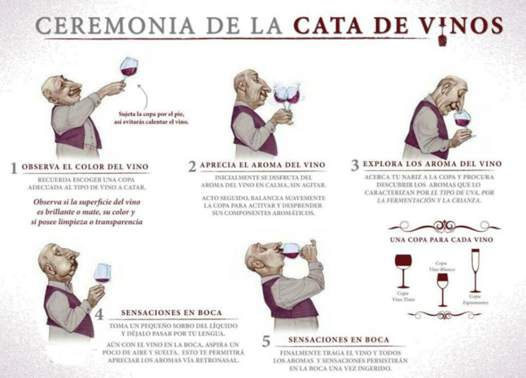 catar vino