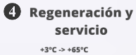 regeneración y servicio